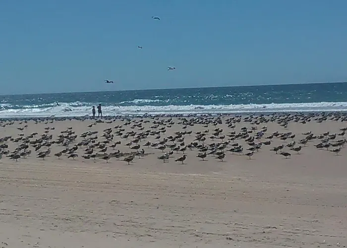 Caparica Holidays