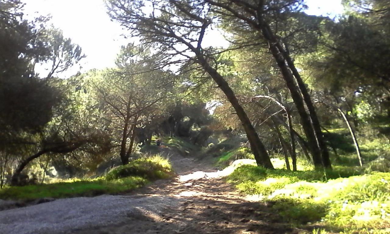 Holiday home Caparica Holidays *