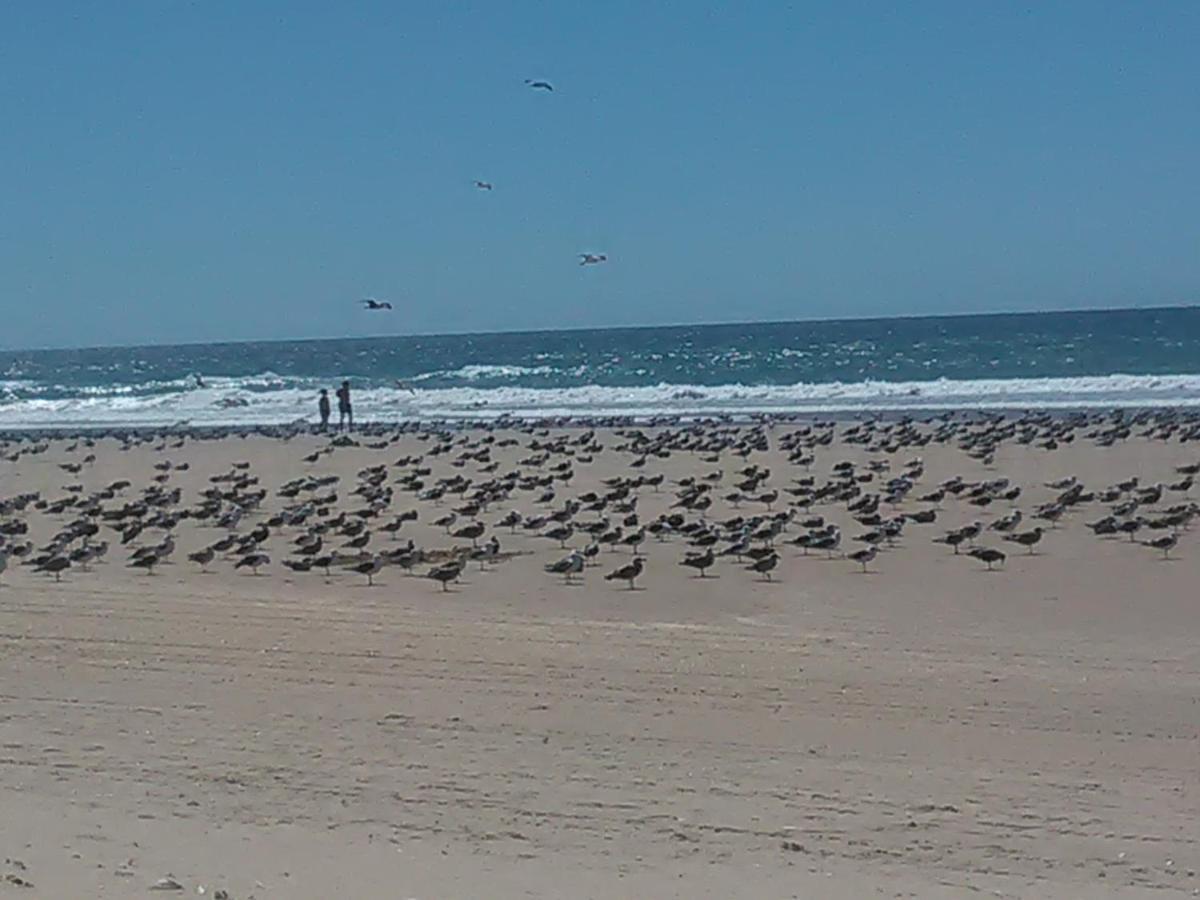 Holiday home Caparica Holidays Charneca (Setubal)